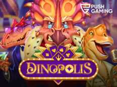 Casino oyunları hakkında bilgi13